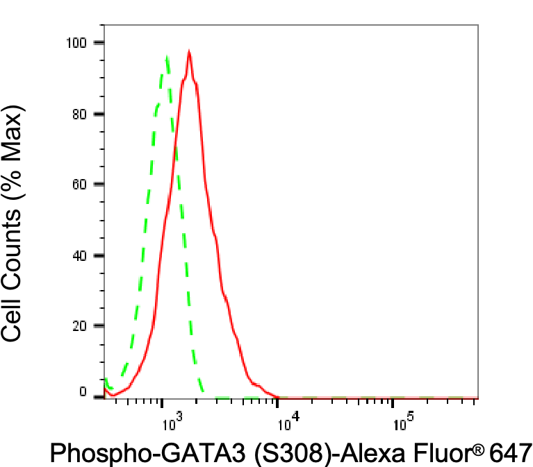 GATA-3 [p Ser308] Antibody (23GB2360)