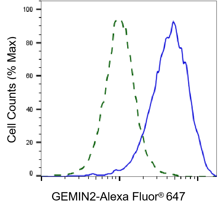 GEMIN2 Antibody (23GB5835)