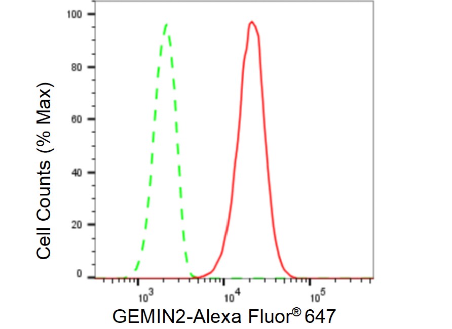 GEMIN2 Antibody (23GB5835)