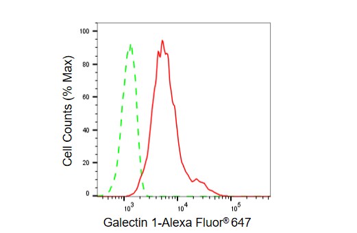 Galectin-1 Antibody (23GB6025)
