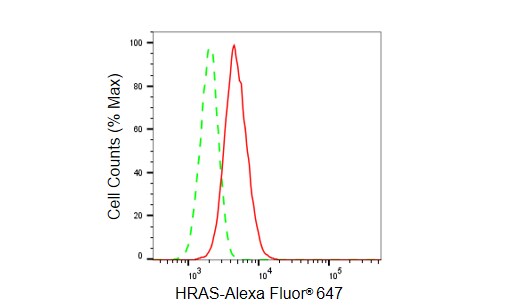 HRAS Antibody (23GB6035)