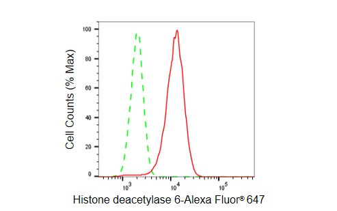 HDAC6 Antibody (23GB6170)