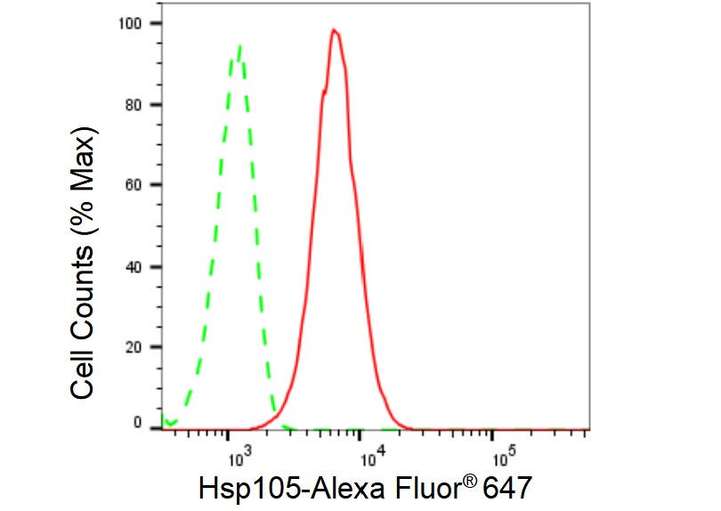 HSPH1/HSP105 Antibody (23GB6190)