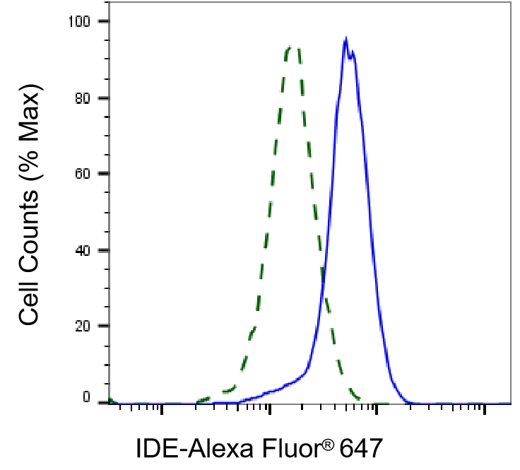 Insulysin/IDE Antibody (23GB6210)