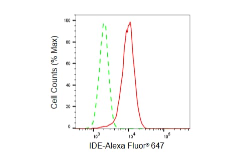 Insulysin/IDE Antibody (23GB6210)