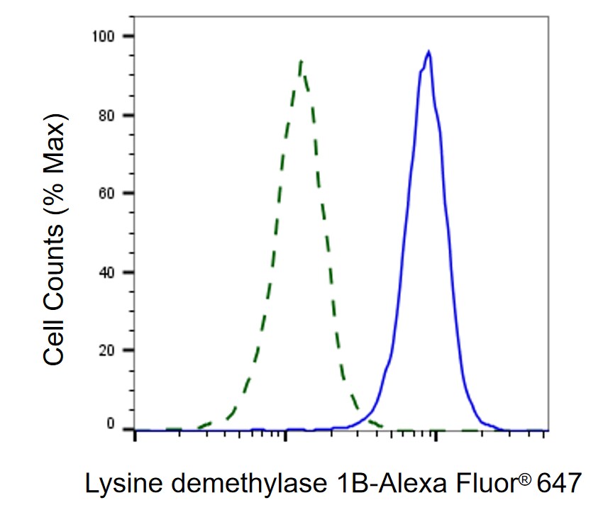 AOF1 Antibody (23GB6265)