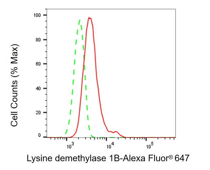 AOF1 Antibody (23GB6265)