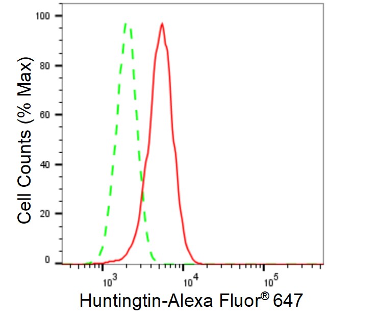 Huntingtin Antibody (23GB6285)