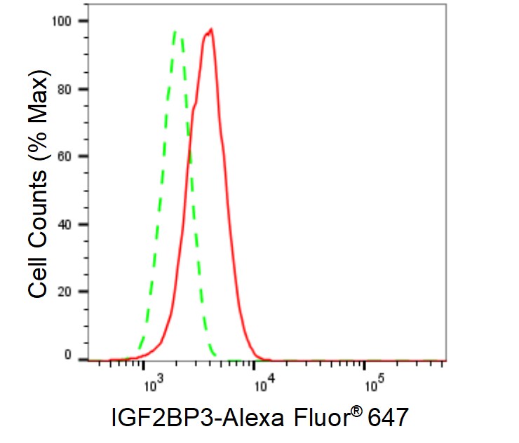 IGF2BP3 Antibody (23GB6345)