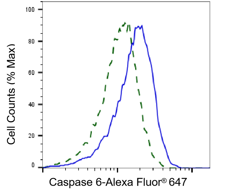 Caspase-6 Antibody (23GB1225)