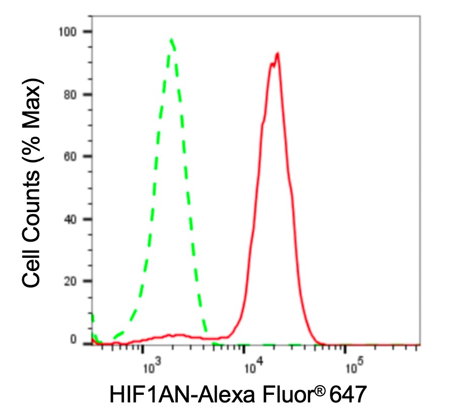 FIH-1/HIF-1AN Antibody (23GB6385)