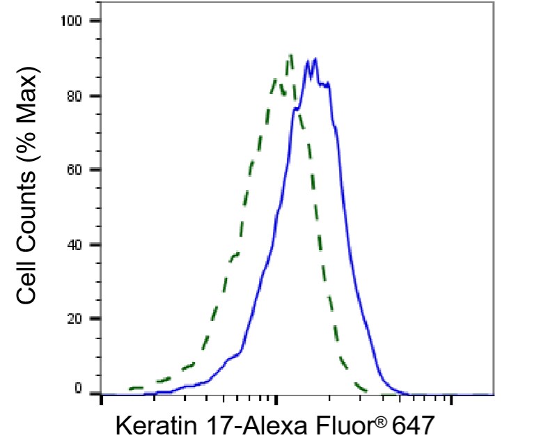 Cytokeratin 17 Antibody (23GB6535)