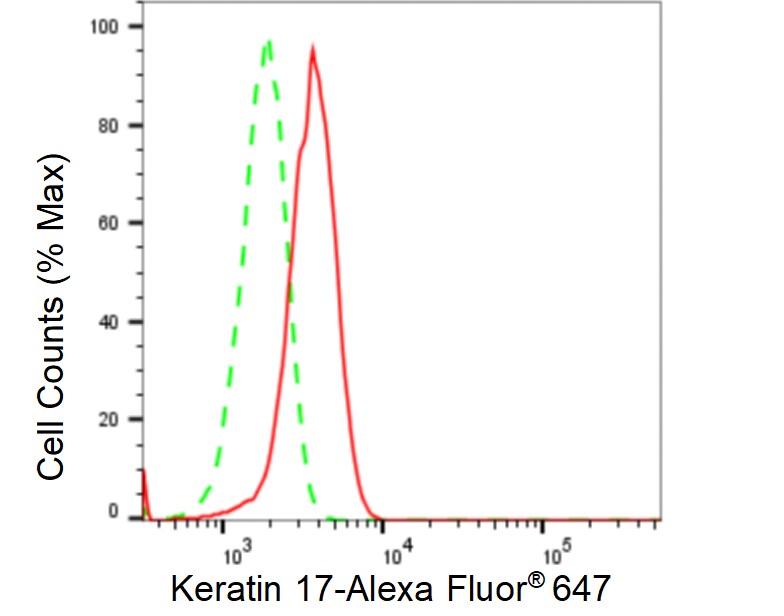 Cytokeratin 17 Antibody (23GB6535)
