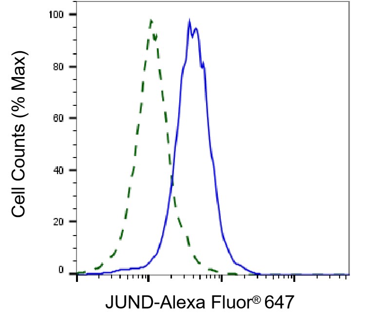 JunD Antibody (23GB6560)