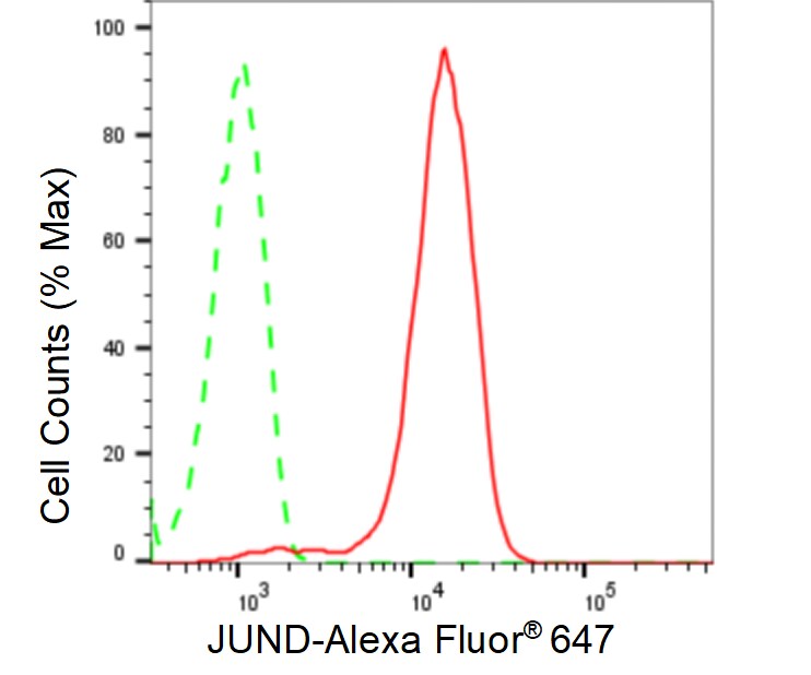 JunD Antibody (23GB6560)
