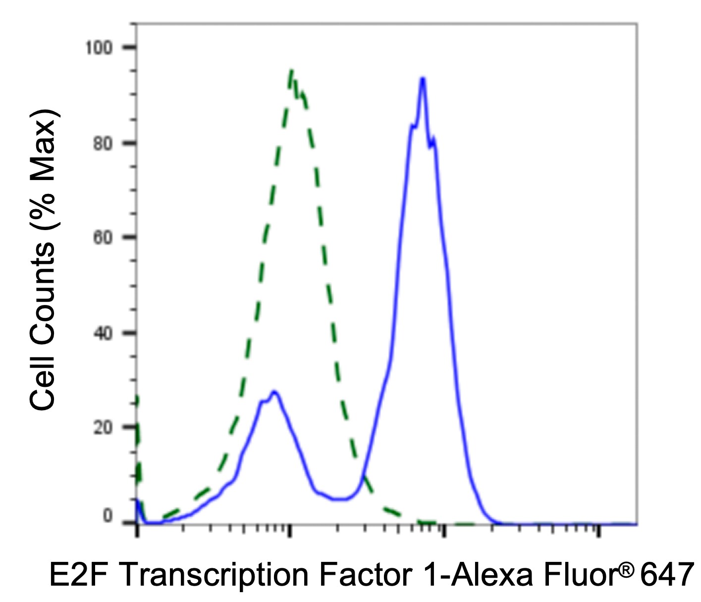 E2F-1 Antibody (23GB1505)