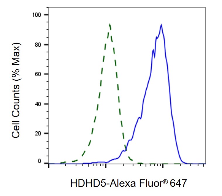 CECR5 Antibody (23GB6585)