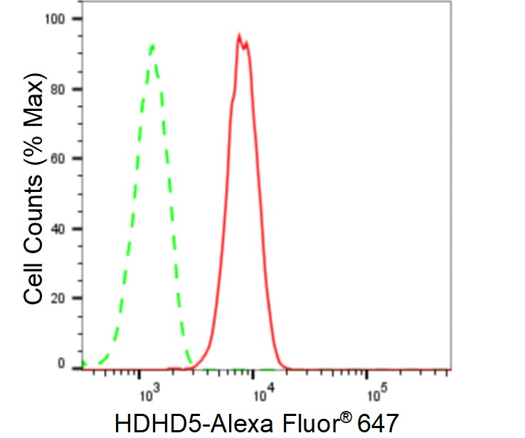 CECR5 Antibody (23GB6585)