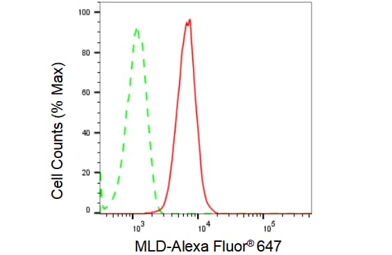 DEGS1 Antibody (23GB1215)