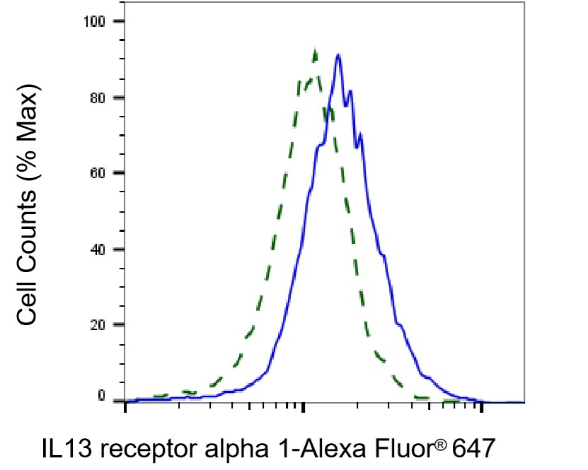 IL-13R alpha 1 Antibody (23GB6655)