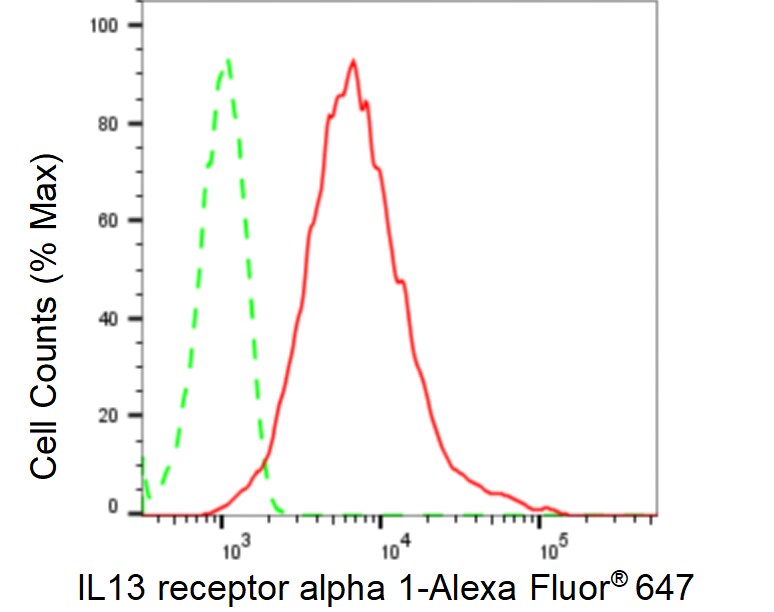 IL-13R alpha 1 Antibody (23GB6655)