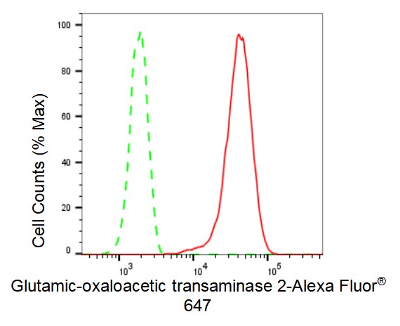 GOT2 Antibody (23GB7985)