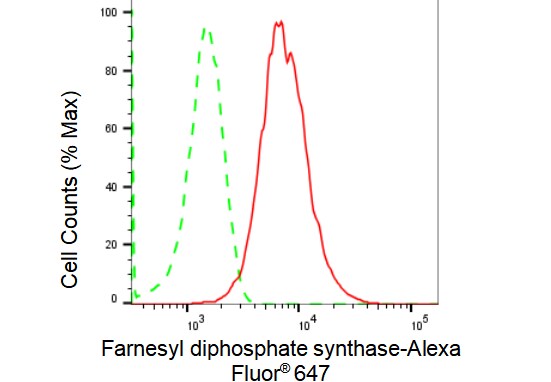 FDPS Antibody (23GB1395)