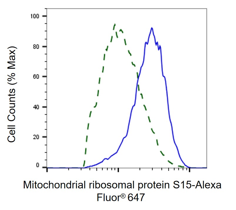 MRPS15 Antibody (24GB70)