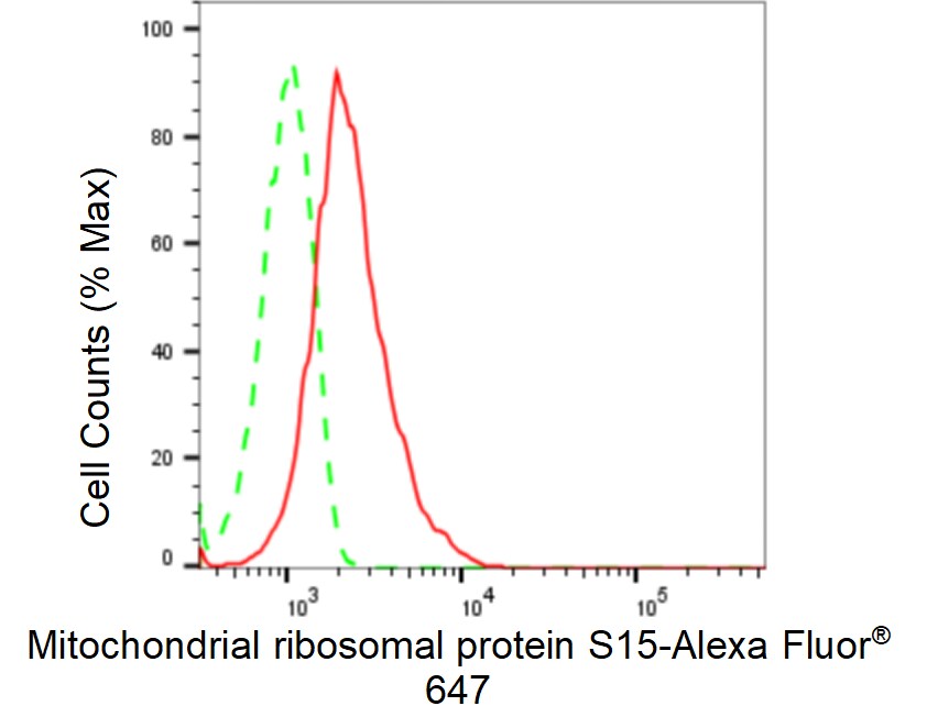 MRPS15 Antibody (24GB70)