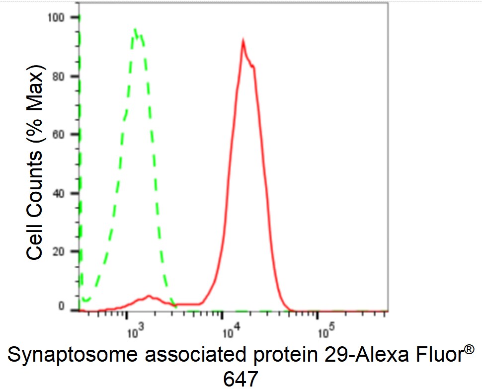 SNAP29 Antibody (24GB1855)