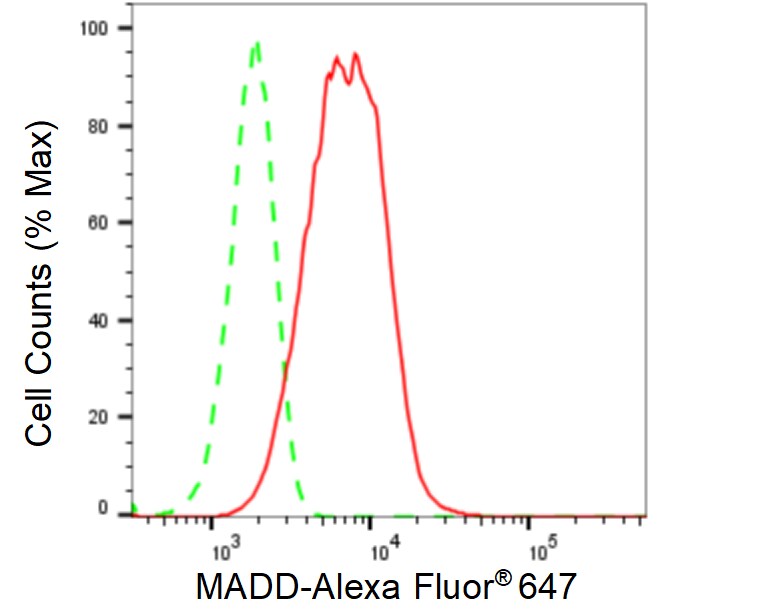 MADD Antibody (24GB110)