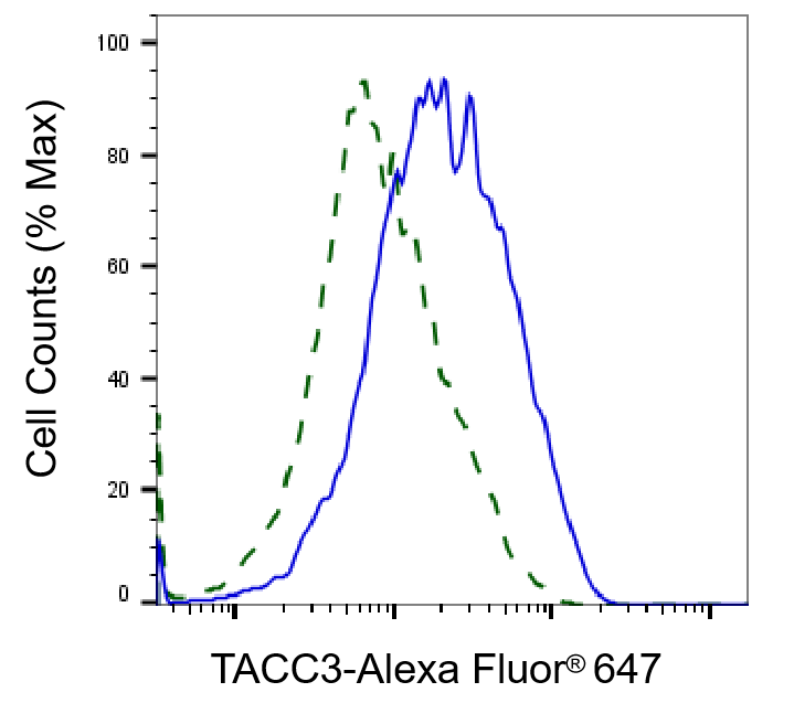 TACC3 Antibody (24GB1940)