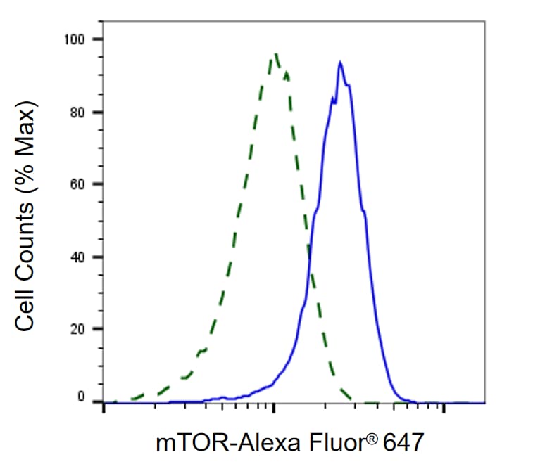 TOR/mTOR Antibody (24GB200)