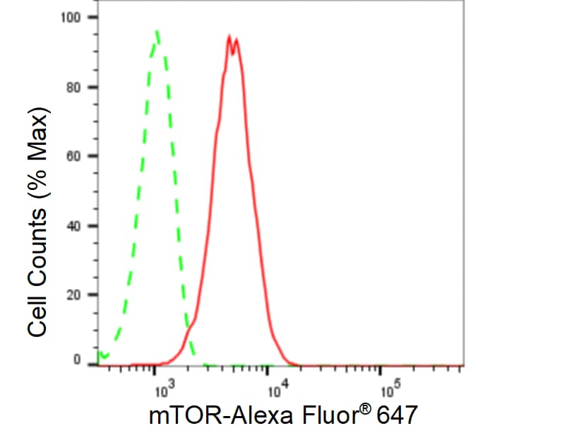 TOR/mTOR Antibody (24GB200)
