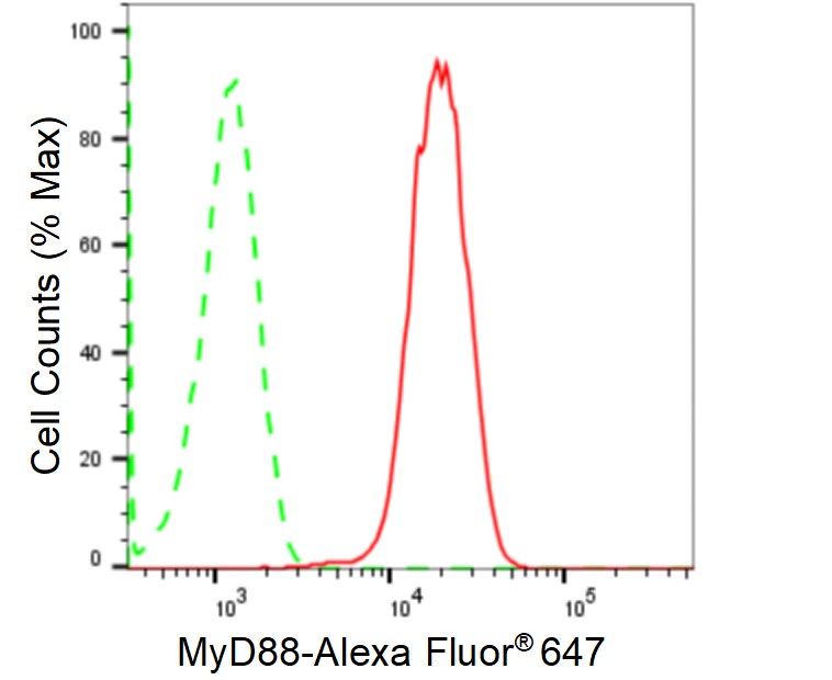 MyD88 Antibody (24GB240)