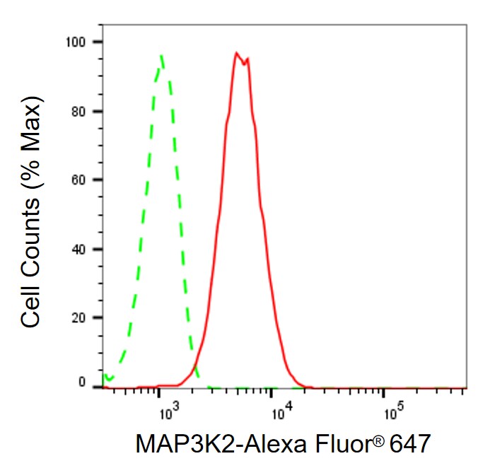 MEKK2 Antibody (24GB260)