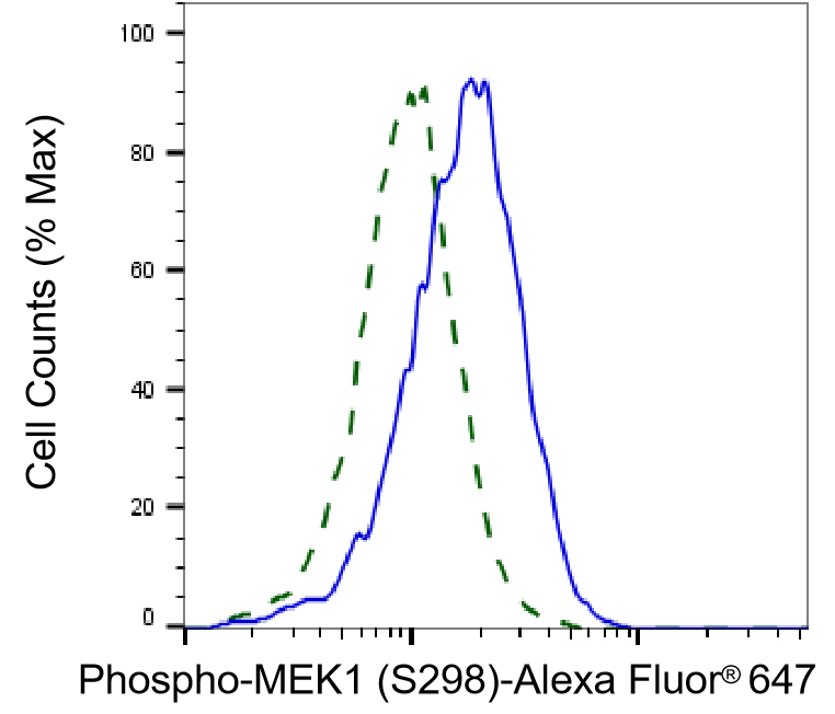 MEK1 [p Ser298] Antibody (24GB285)