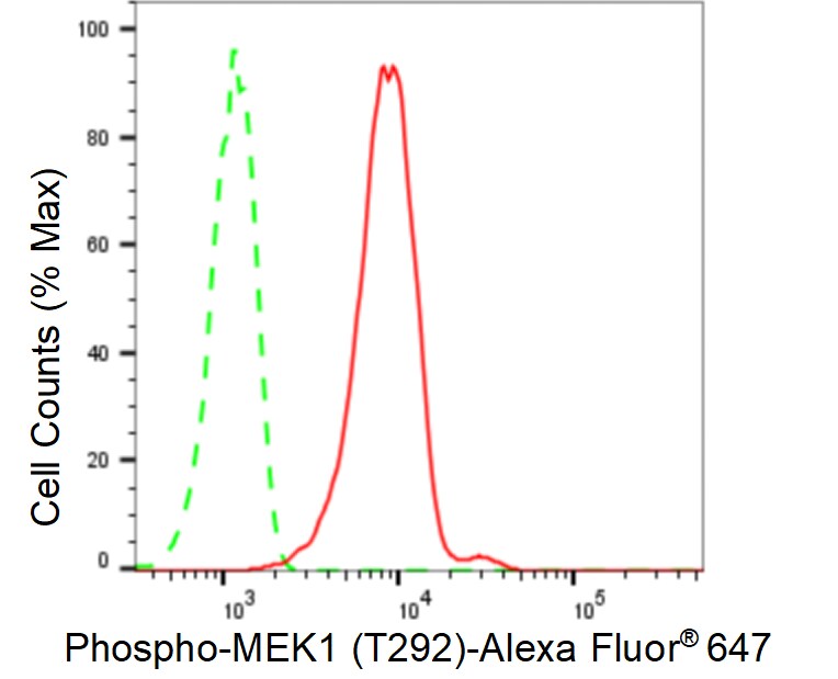 MEK1 [p Thr292] Antibody (24GB305)