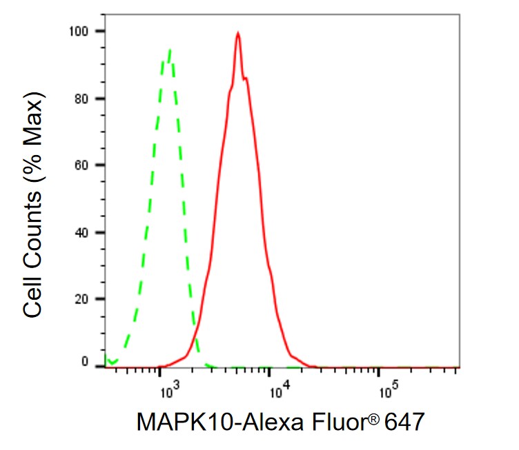 JNK3 Antibody (24GB320)
