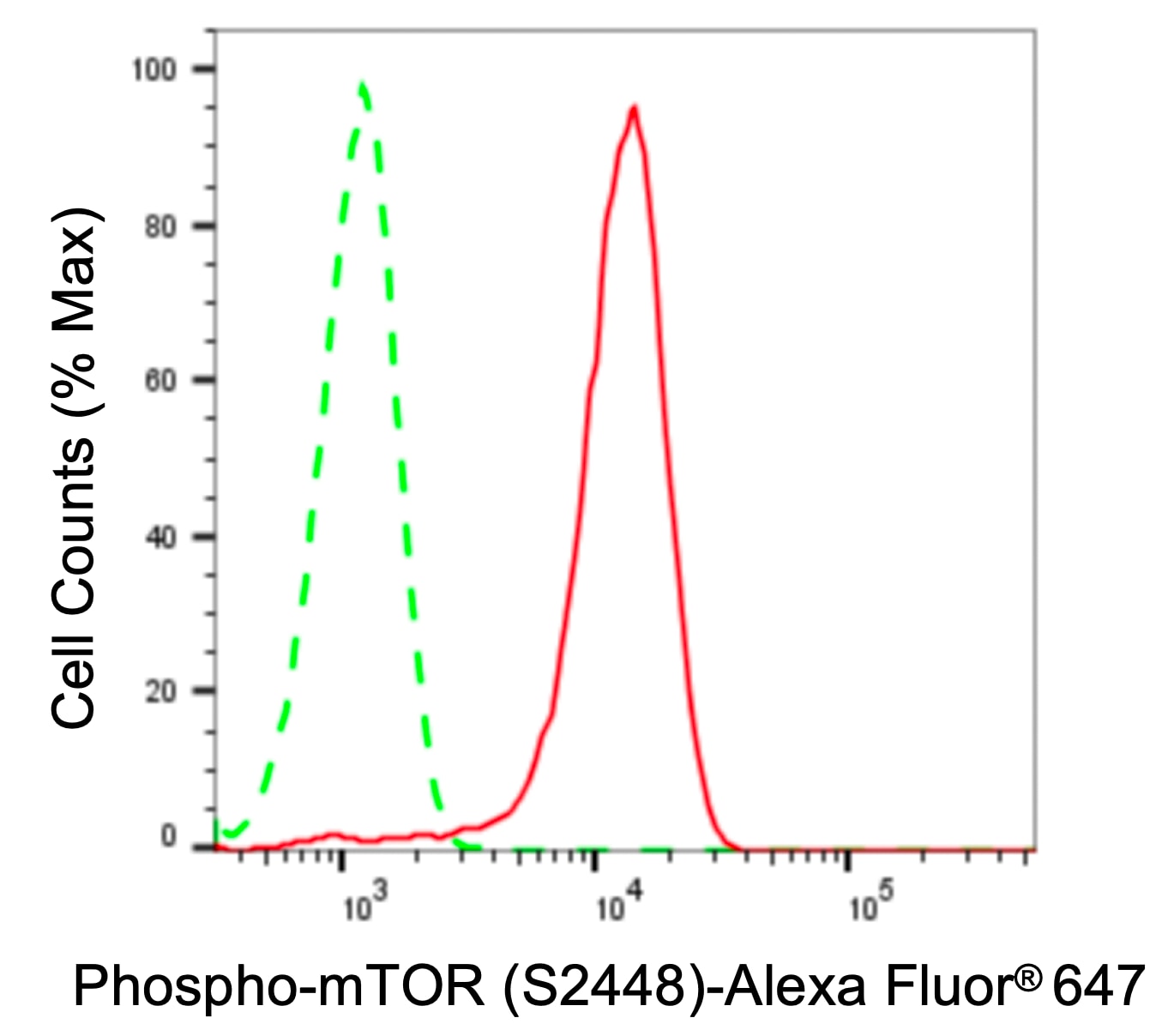 TOR/mTOR [p Ser2448] Antibody (24GB330)