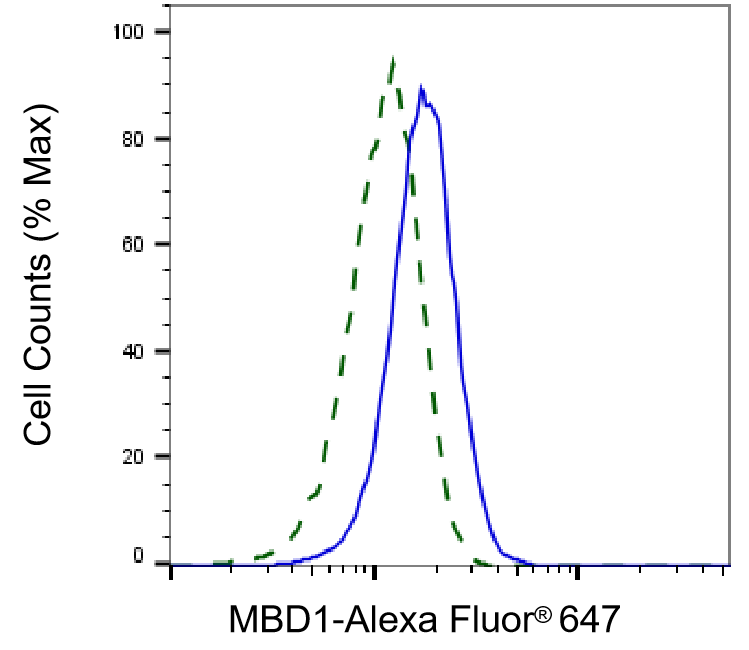 MBD1 Antibody (24GB405)