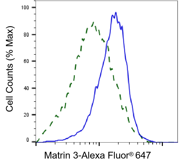 Matrin 3 Antibody (24GB535)