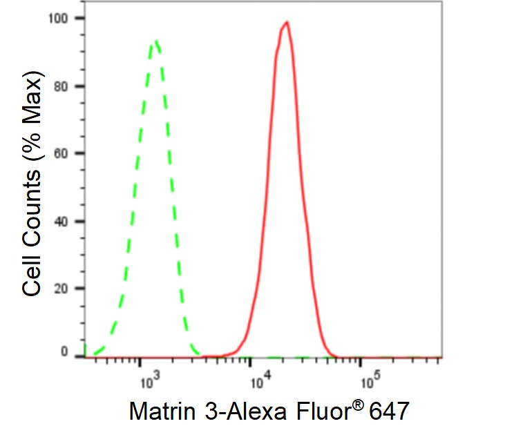 Matrin 3 Antibody (24GB535)