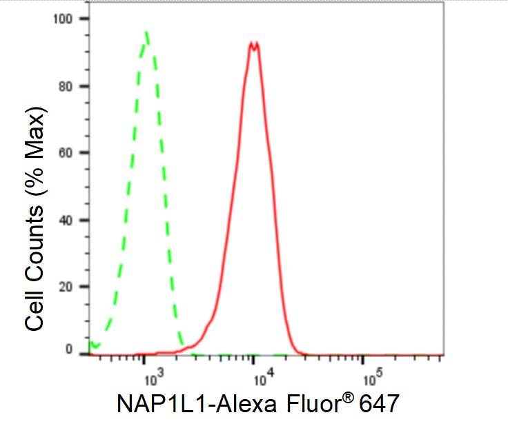 NAP1L1 Antibody (24GB550)