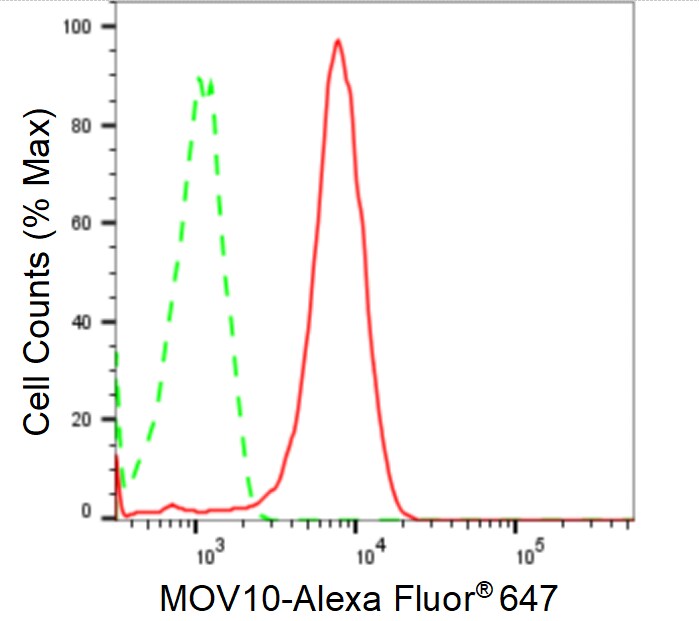 MOV10 Antibody (24GB575)