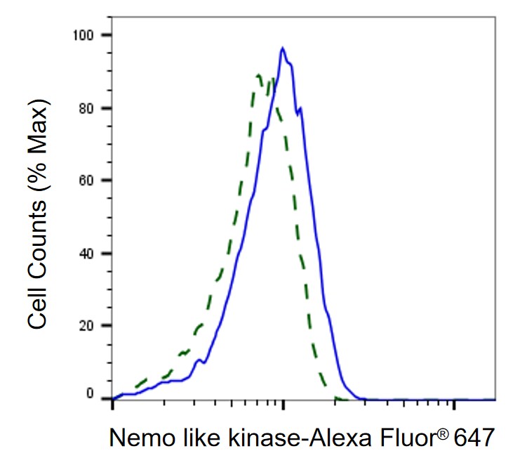 NLK Antibody (24GB585)