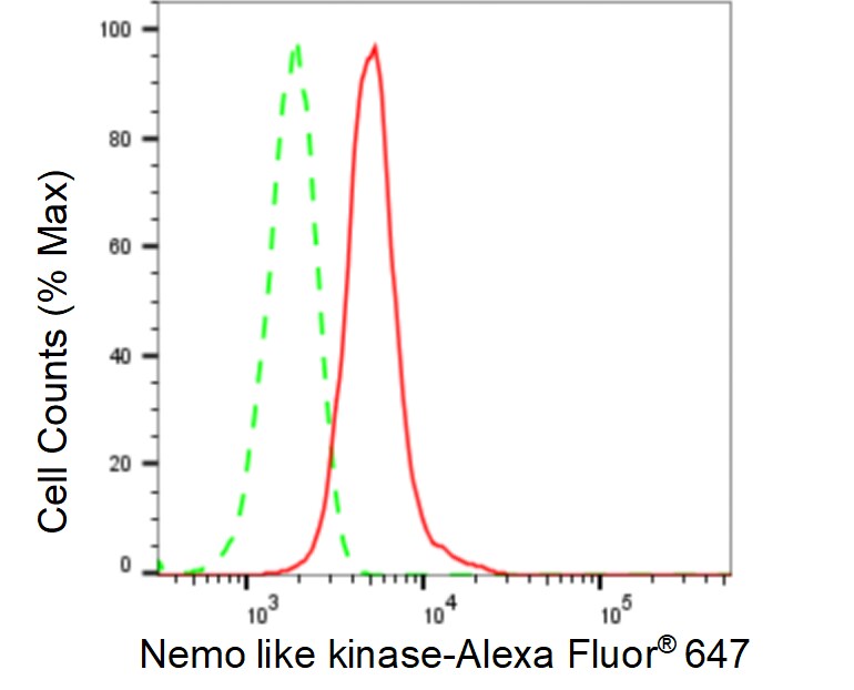NLK Antibody (24GB585)