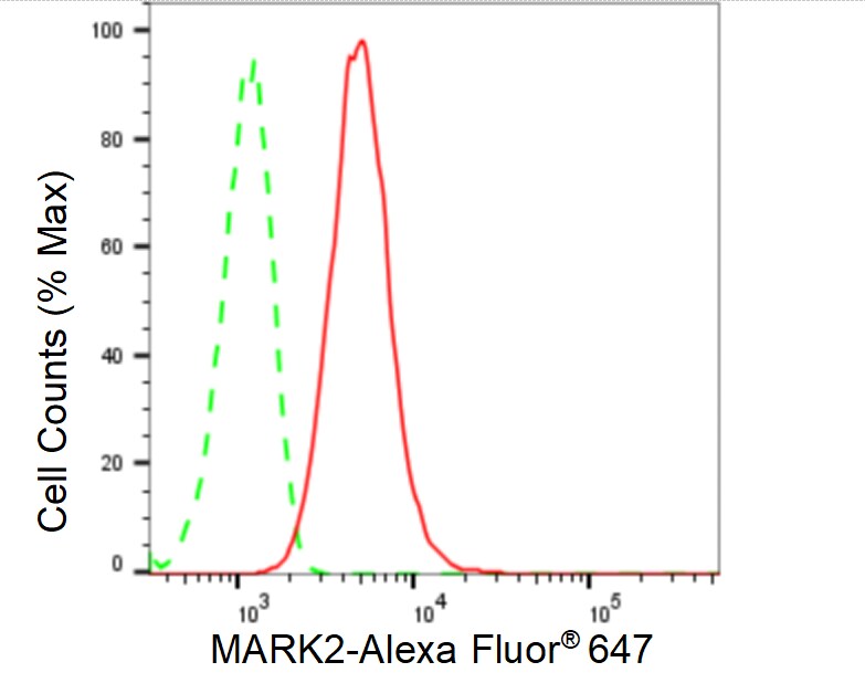 MARK2 Antibody (24GB675)