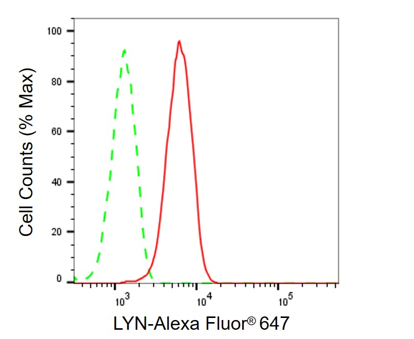 Lyn Antibody (24GB720)