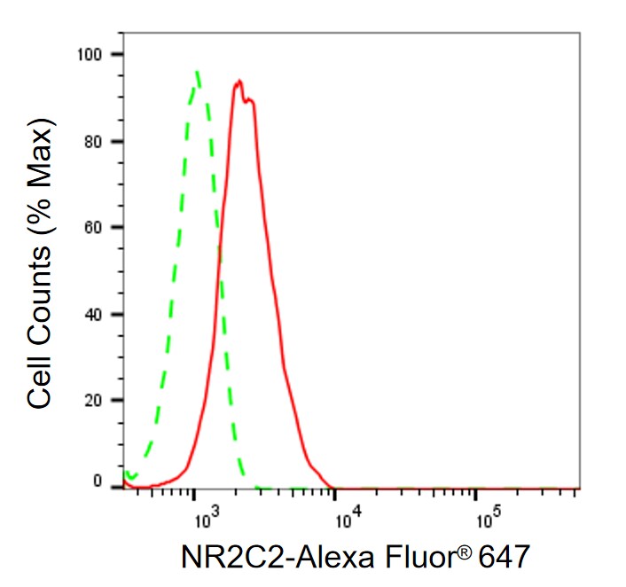 TR4/NR2C2 Antibody (24GB730)